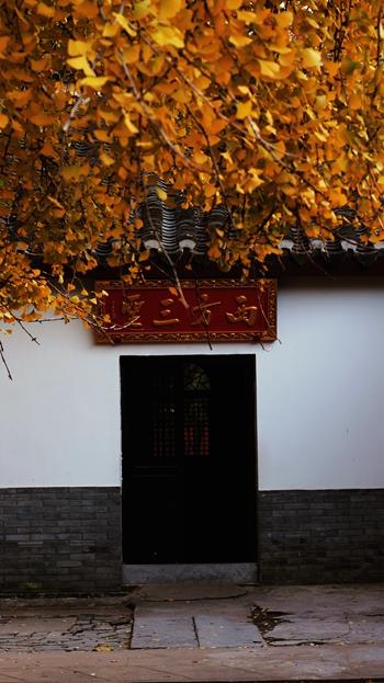蔣利  報(bào)恩寺 2_副本.jpg
