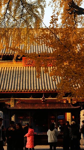 蔣利  報(bào)恩寺 7_副本.jpg