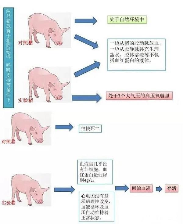 實(shí)驗(yàn) 實(shí)驗(yàn).jpg