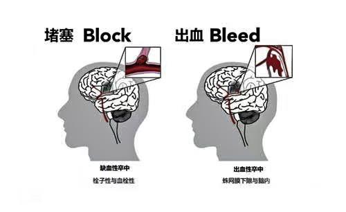 微信圖片_20240906151454.jpg