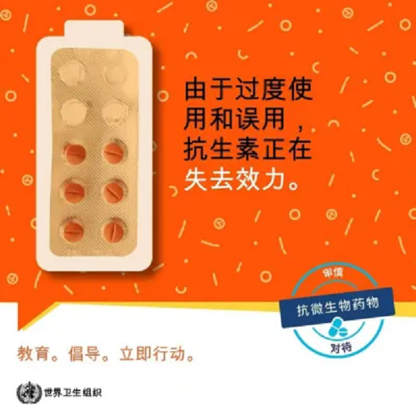 圖片3 圖片3.png