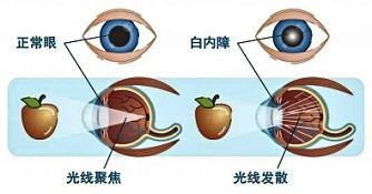 圖片3.jpg