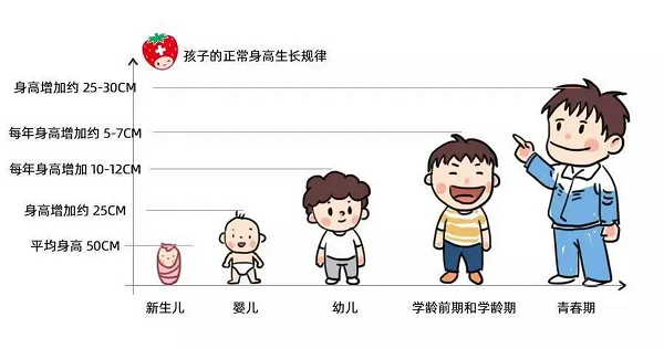 圖片2 圖片2.png