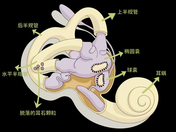 圖片1 圖片1.png